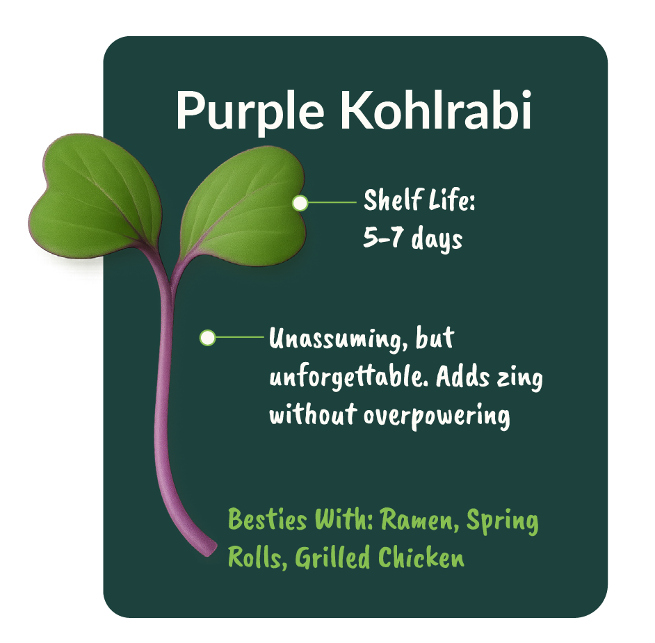Purple Kohlrabi - Image 2