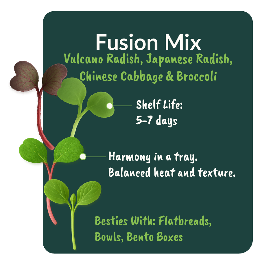 Fusion Mix - Image 2