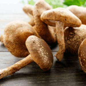 Shiitake